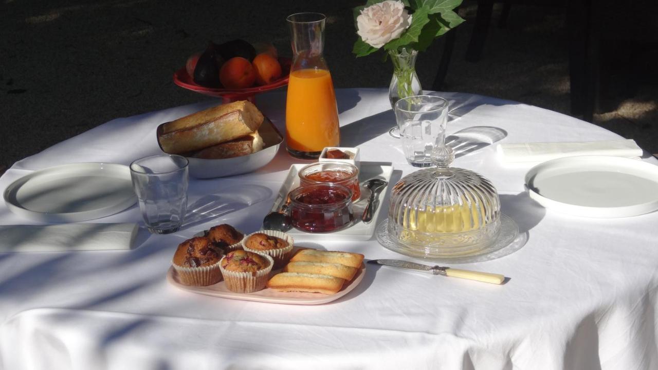Chambre Cote Jardin Nîmes Zewnętrze zdjęcie
