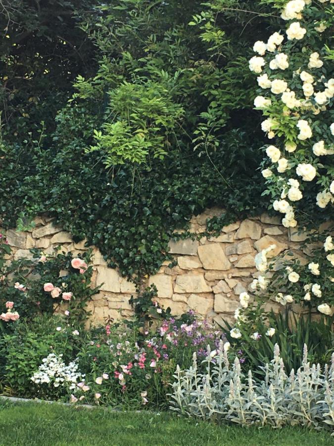 Chambre Cote Jardin Nîmes Zewnętrze zdjęcie